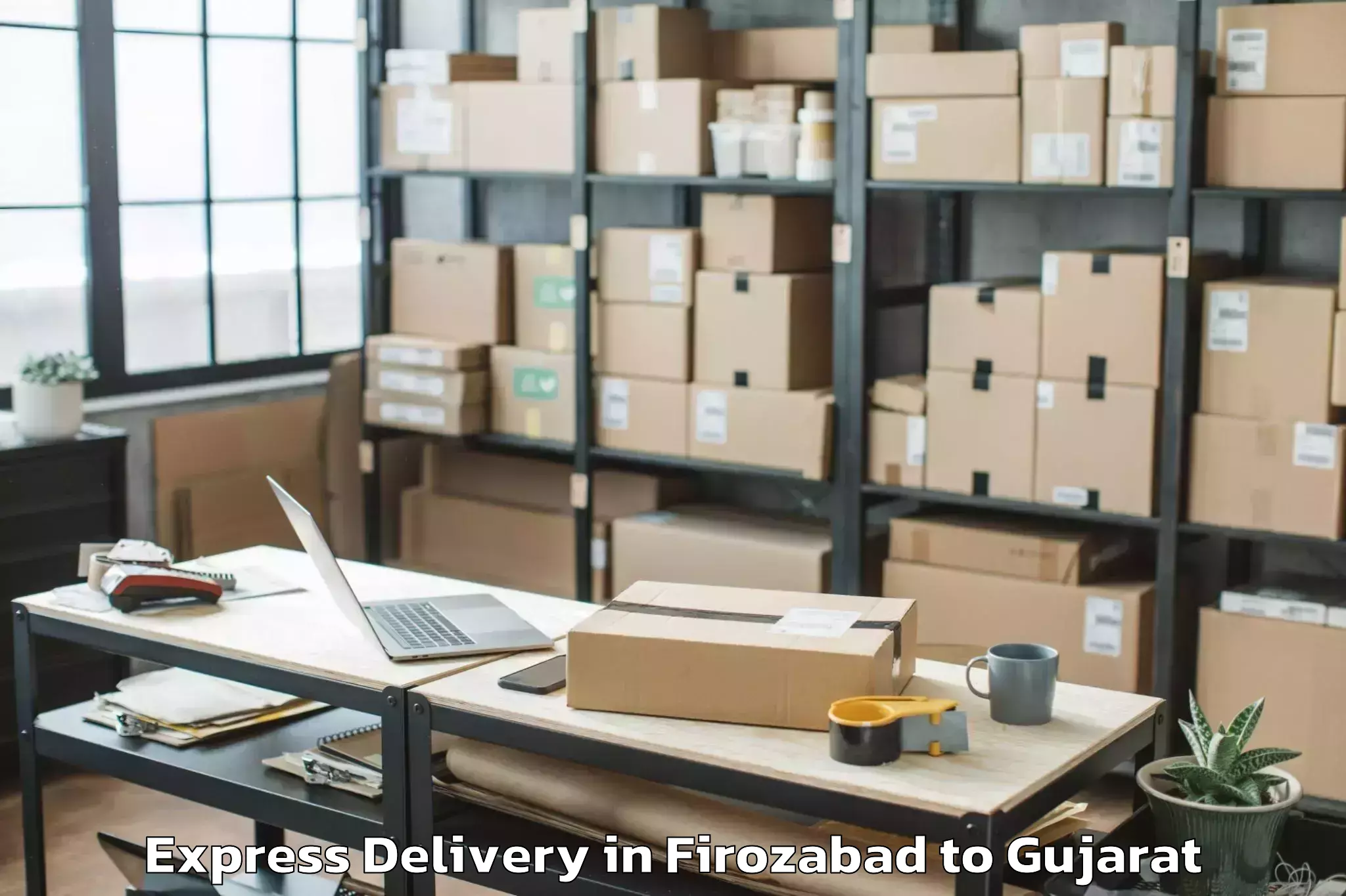 Leading Firozabad to Nasvadi Express Delivery Provider